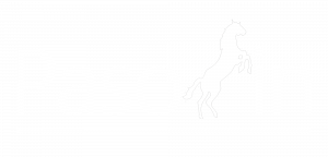 stalione Pasofin-logo-white